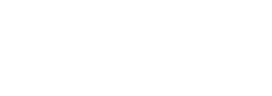 MSW Motor Technics Logo
